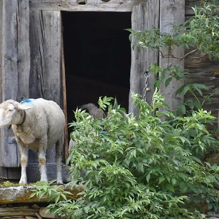 Gasthaus Heiligkreuz Otel *