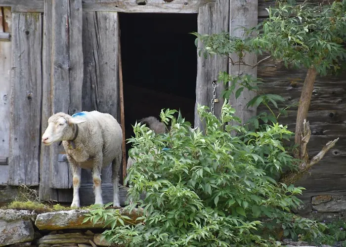 Gasthaus Heiligkreuz Hotel *
