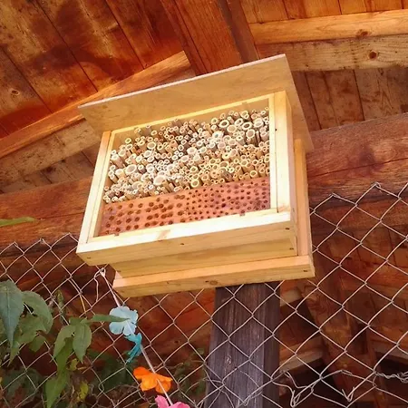 Gasthaus Heiligkreuz 酒店 *